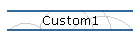 Custom1